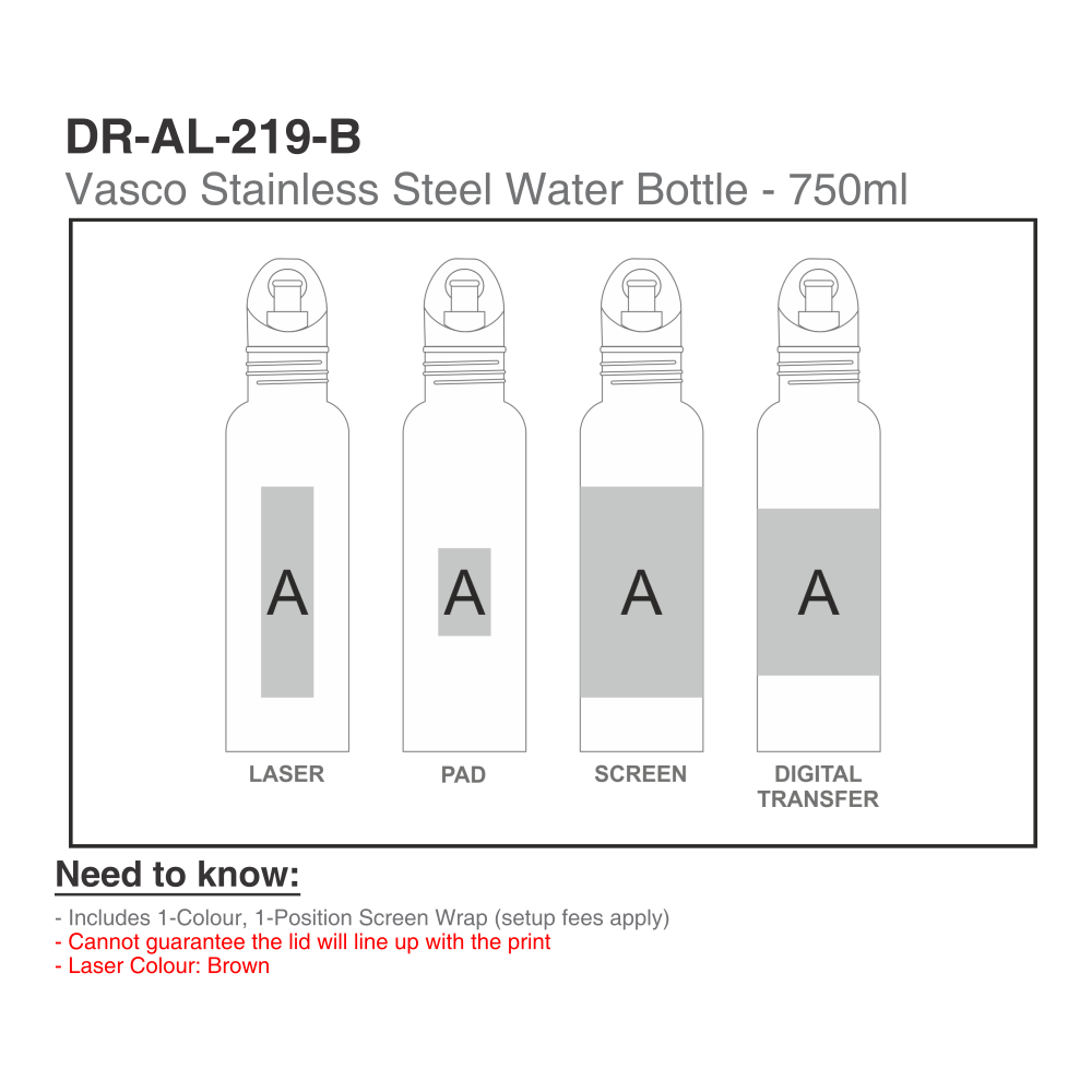 Vasco Stainless Steel Brandable Water Bottle in Silver with Black Top