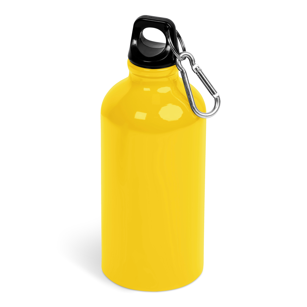 Braxton Aluminium Brandable Water Bottle