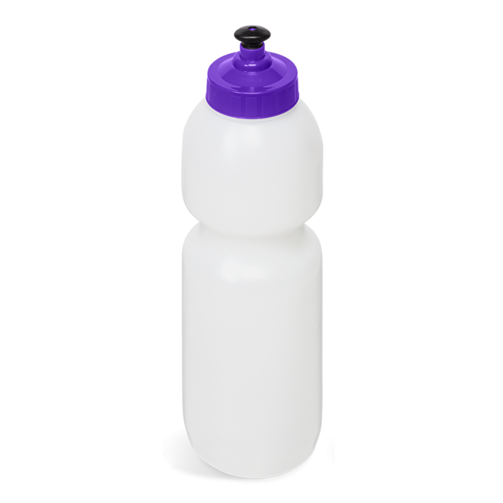 Alpine Plastic Brandable Water Bottle