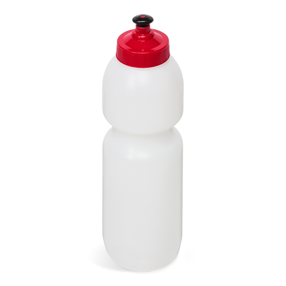 Alpine Plastic Brandable Water Bottle